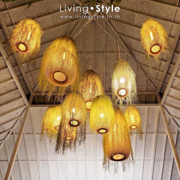 ต้นไม้แขวน