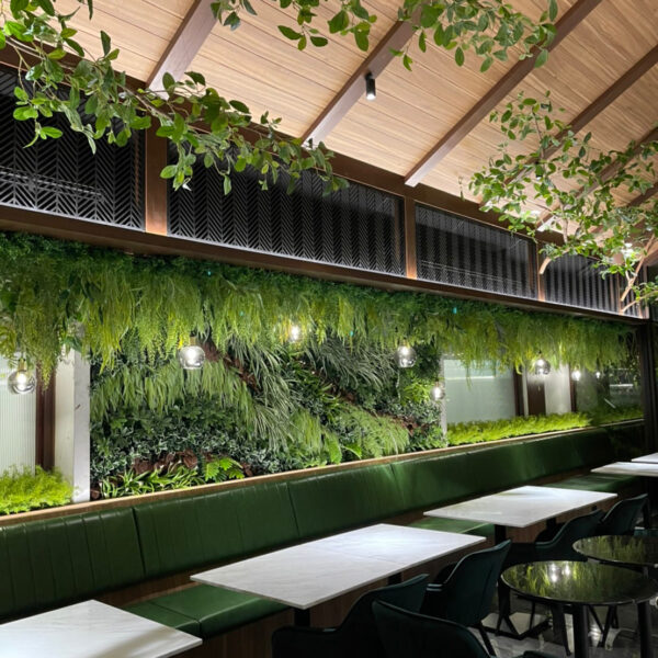 ต้นไม้แขวน