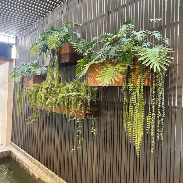 ต้นไม้แขวน