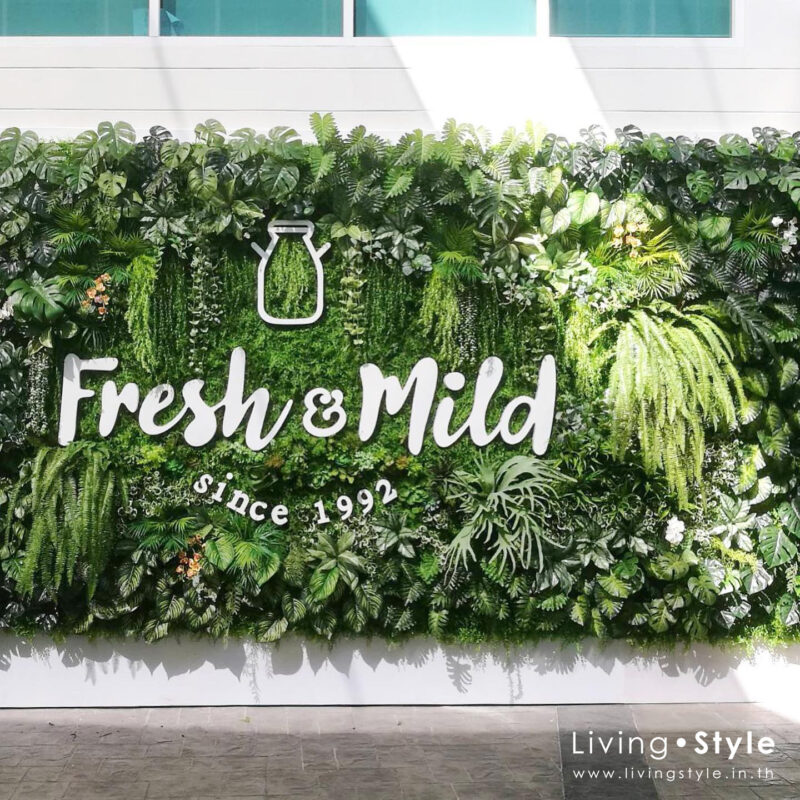 ตัวอย่างสวนแนวตั้ง vertical garden