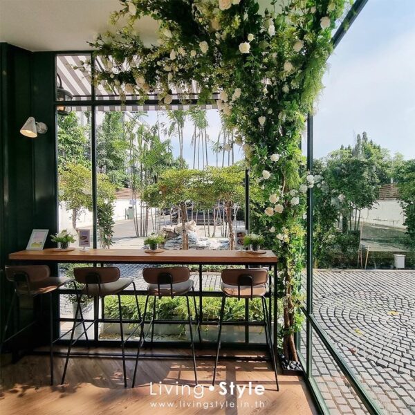 ต้นไม้แขวน