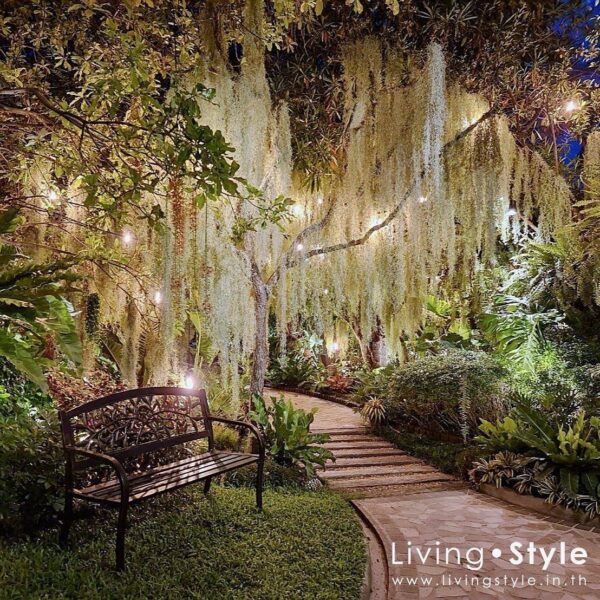 55304BB3-A0DC-4342-A79E-9443FA37A4B9