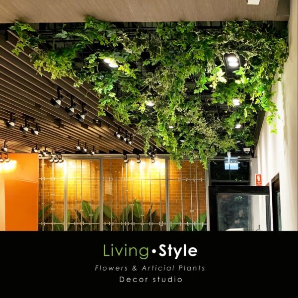 ต้นไม้แขวน