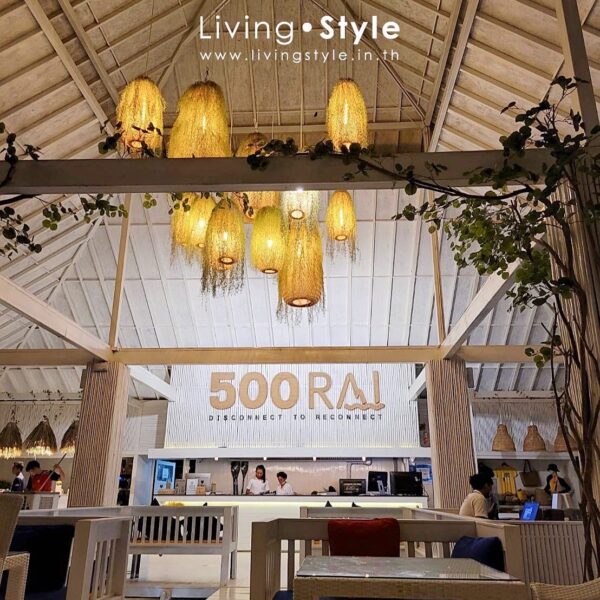 ต้นไม้แขวน