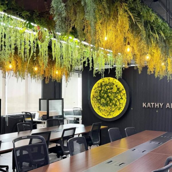 ต้นไม้แขวน