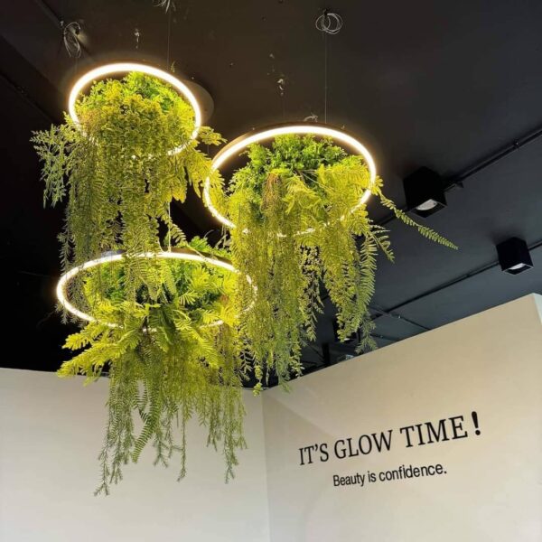 ต้นไม้แขวน