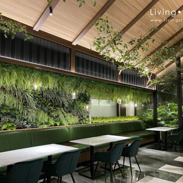 ต้นไม้แขวน