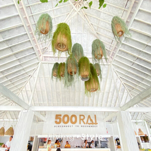 7FA85EF3-C62A-41F6-92B4-1973DA1BD7ED