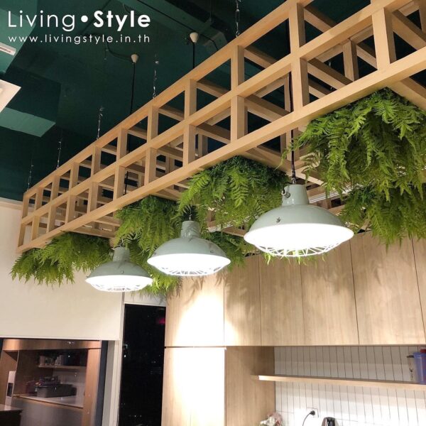 ต้นไม้แขวน