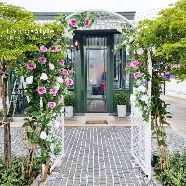 D15C9DD6-1054-499E-9CD2-4E60D7DE5311