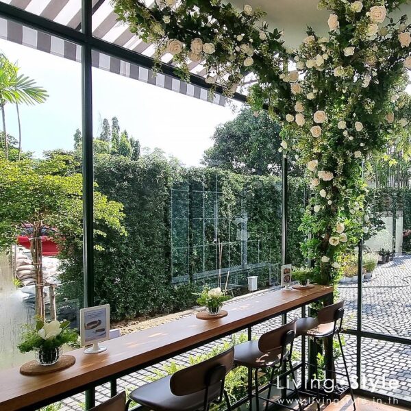 ต้นไม้แขวน