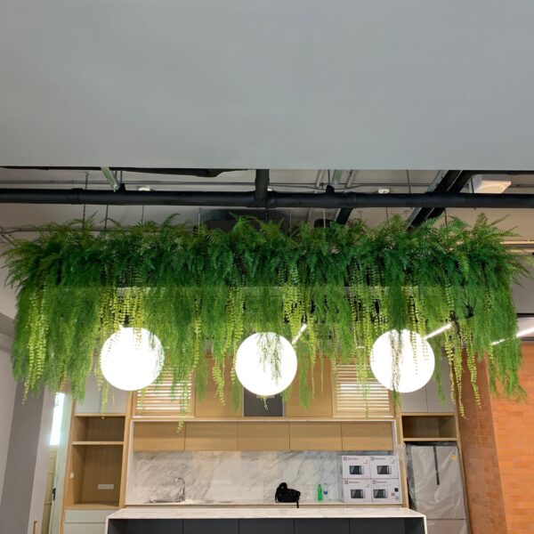 ต้นไม้แขวน