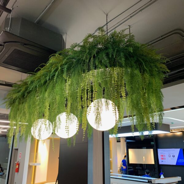 ต้นไม้แขวน