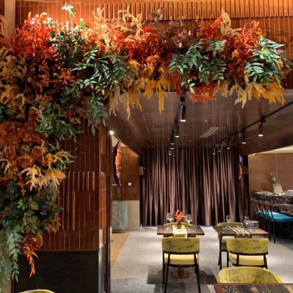 ต้นไม้แขวน