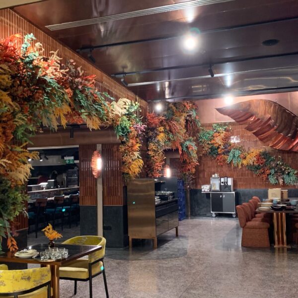 ต้นไม้แขวน