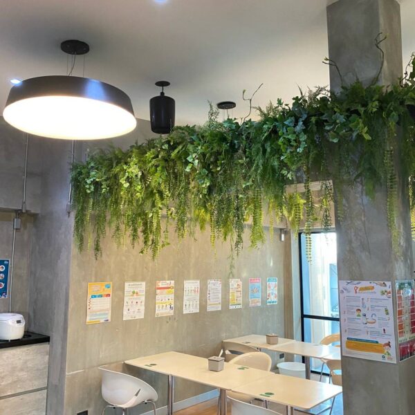 ต้นไม้แขวน