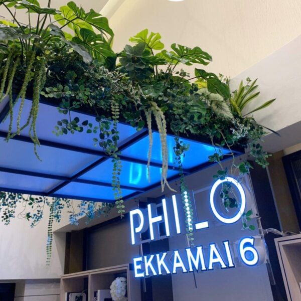 ต้นไม้แขวน