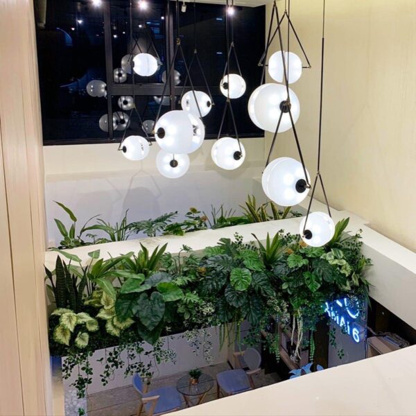 ต้นไม้แขวน