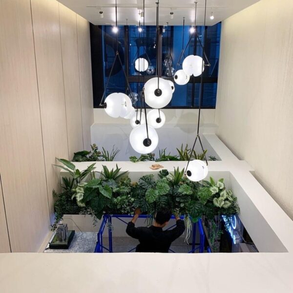 ต้นไม้แขวน