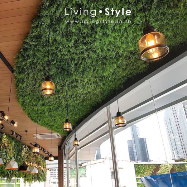 ต้นไม้แขวน