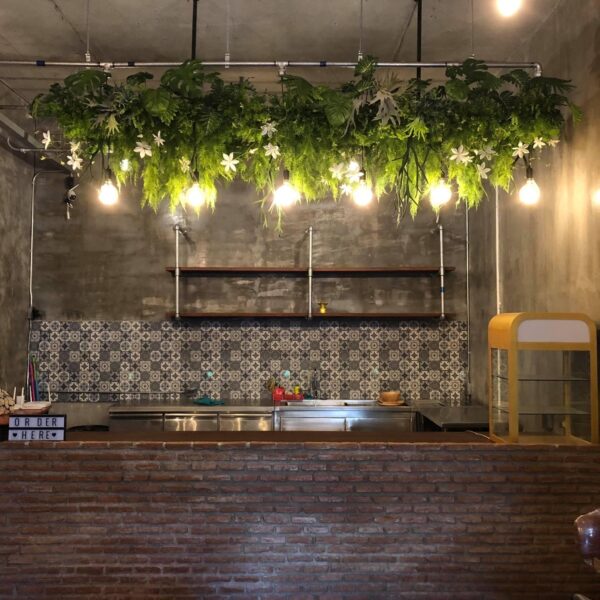 ต้นไม้แขวน