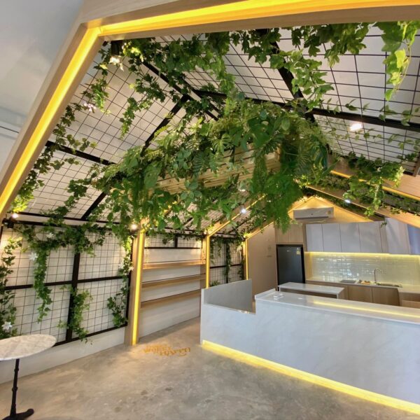 ต้นไม้แขวน