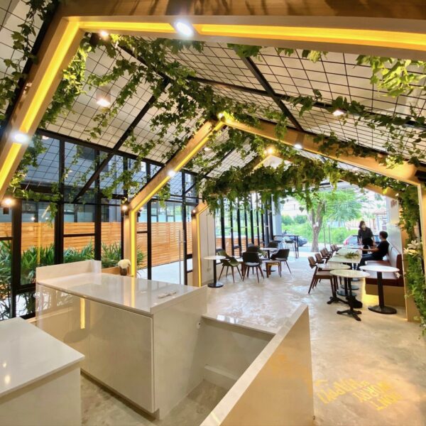 ต้นไม้แขวน