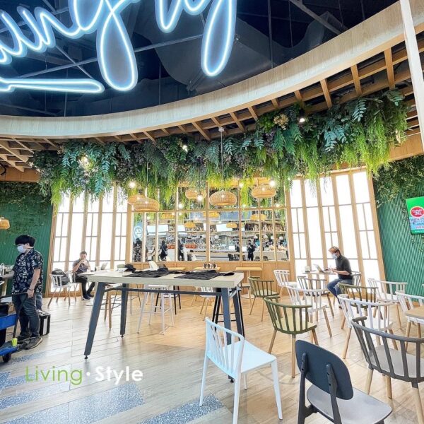 ต้นไม้แขวน