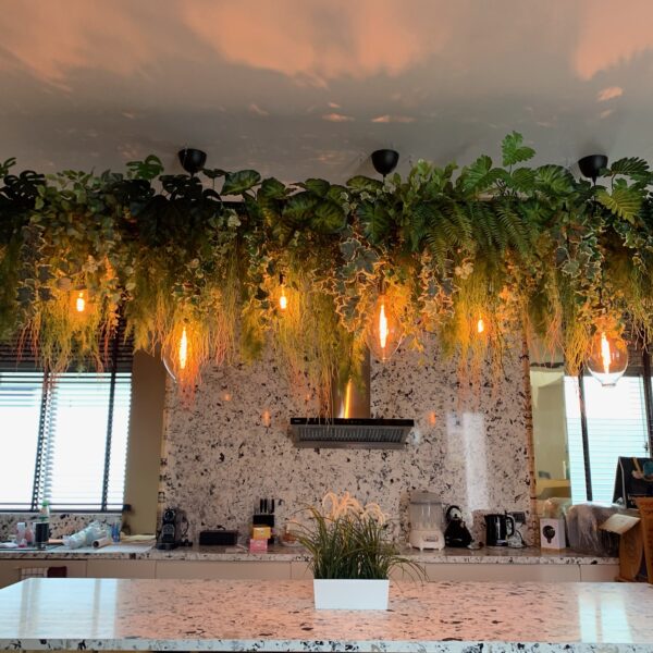 ต้นไม้แขวน