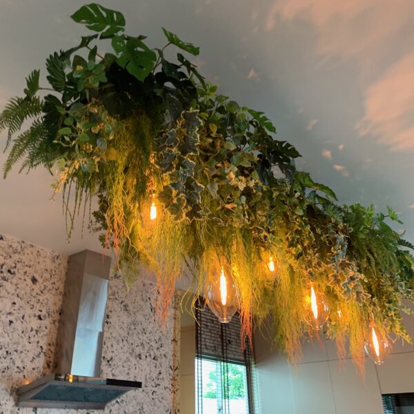 ต้นไม้แขวน