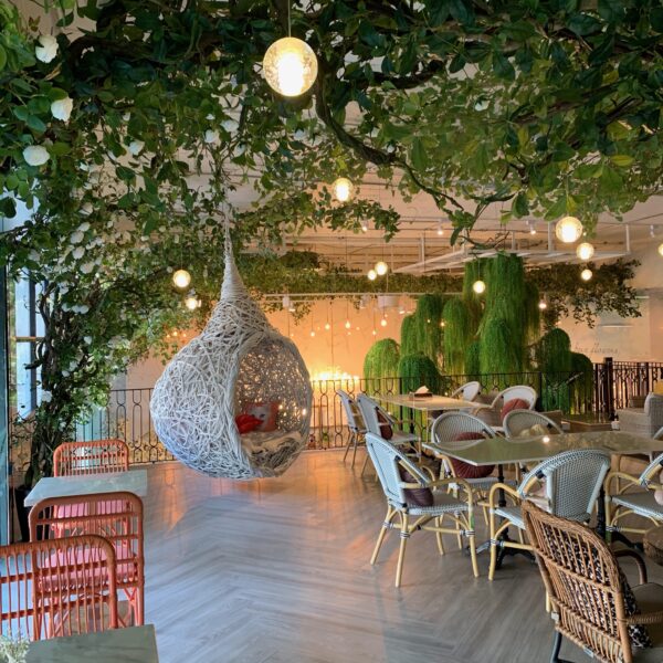 ต้นไม้แขวน