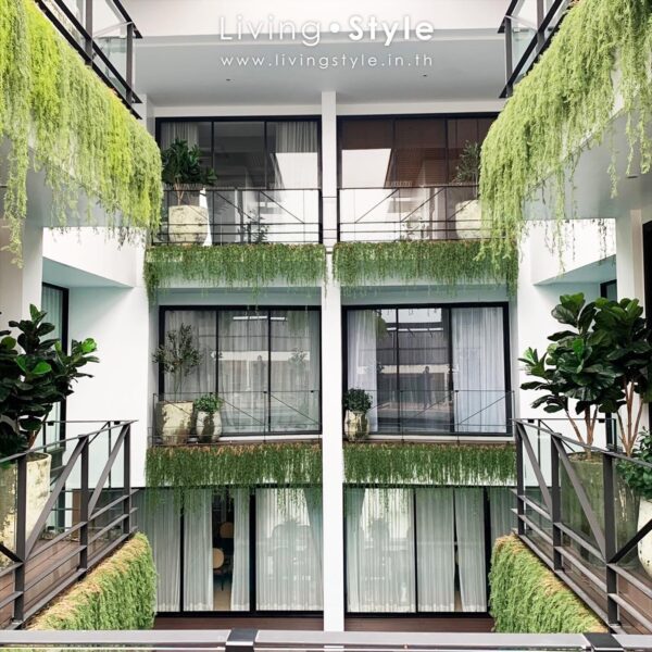 ต้นไม้แขวน