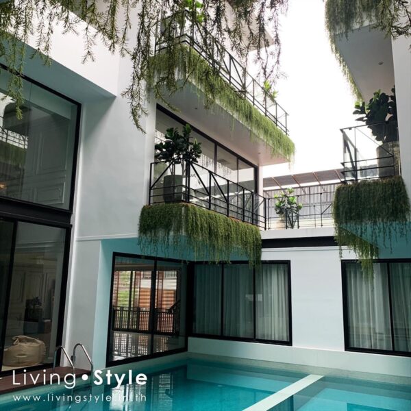 ต้นไม้แขวน