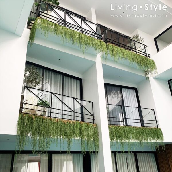 ต้นไม้แขวน