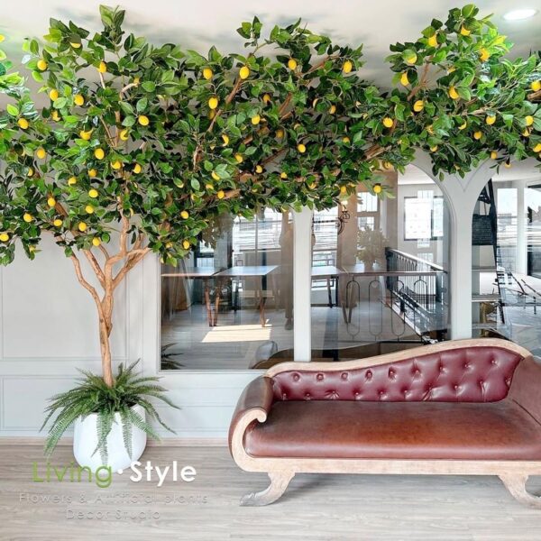 ต้นไม้แขวน