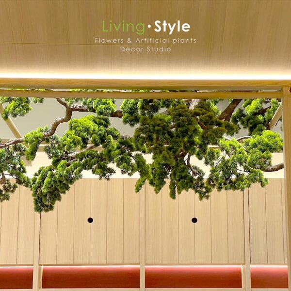 ต้นไม้แขวน