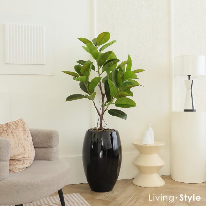 Indian Rubber with Black Pot