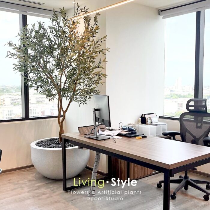 a desk in a room with a tree in front of windows