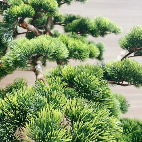 ธนาคารเกียรตินาคินภัทร -ตกแต่งออฟฟิศ-8.1