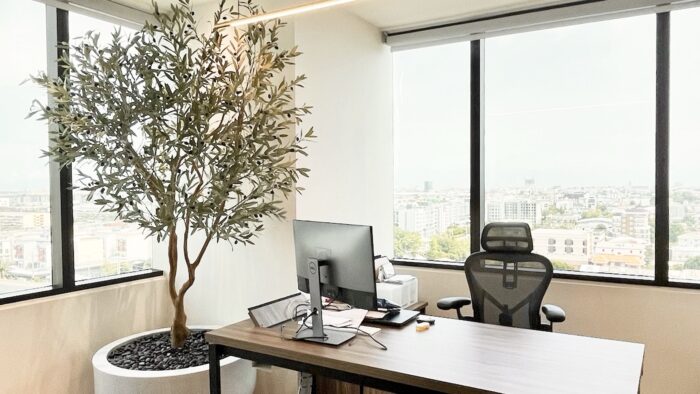 2.50 Meter ARTIFICIAL OLIVE TREE