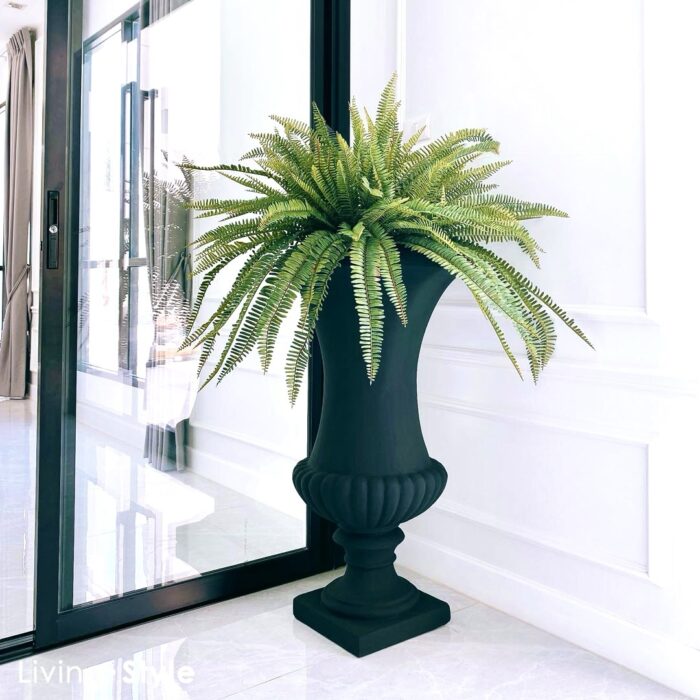 Sword Fern English Black Pot