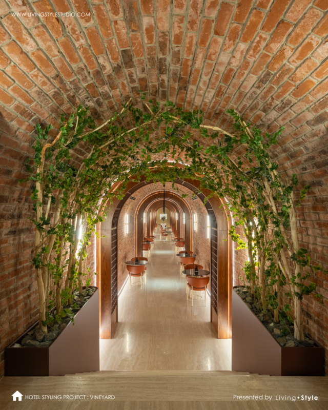 1vineyard