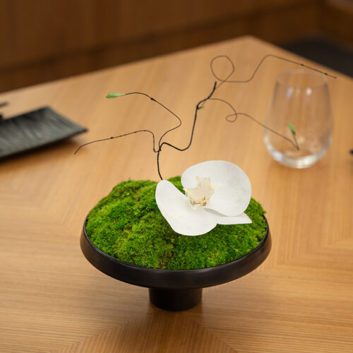 ayan zalaat hotel - mongolia-ตกแต่งโรงแรม และ ร้านอาหาร-8.6