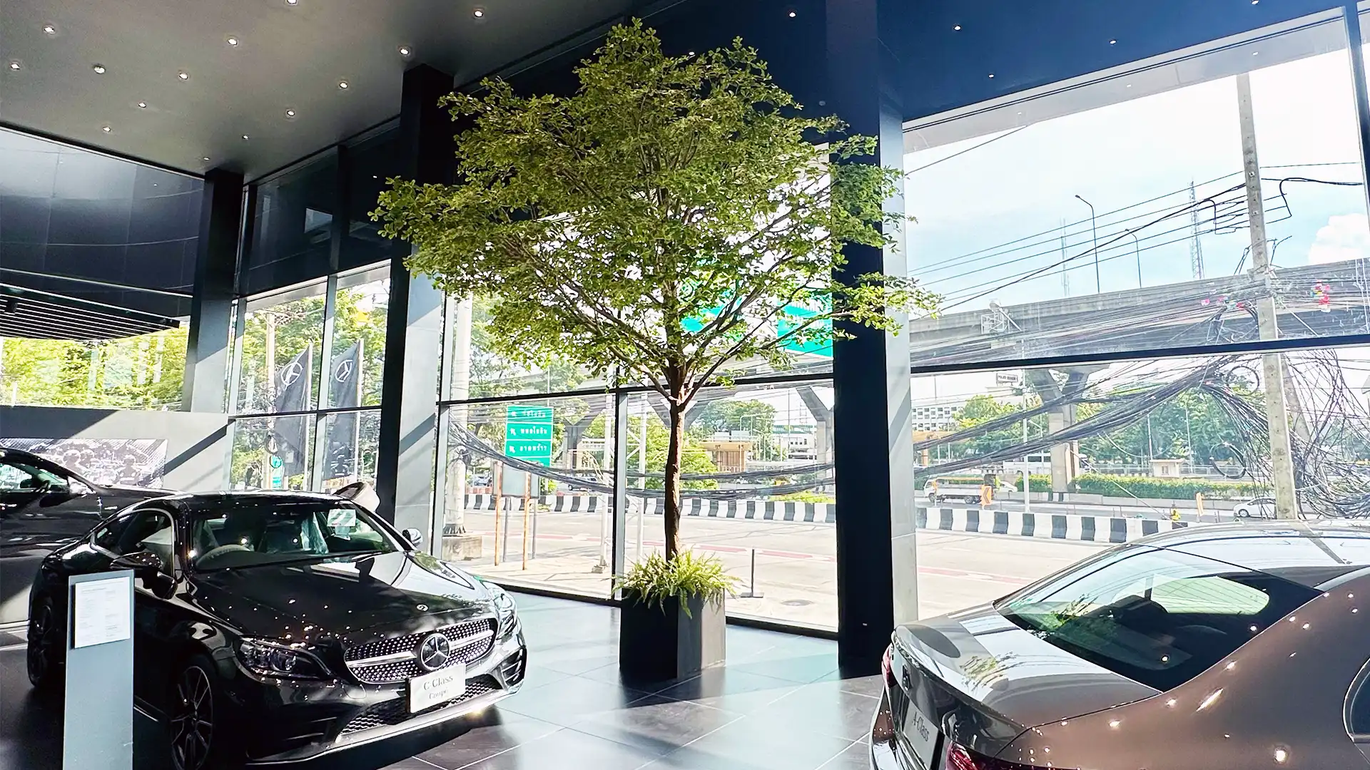 Benz Bkk Vipawadee