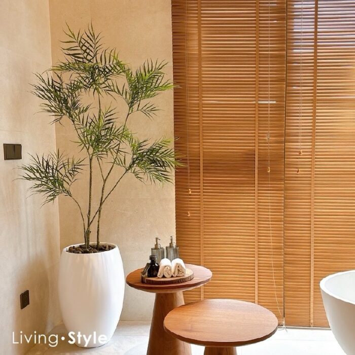 Areca Palm with White Pot