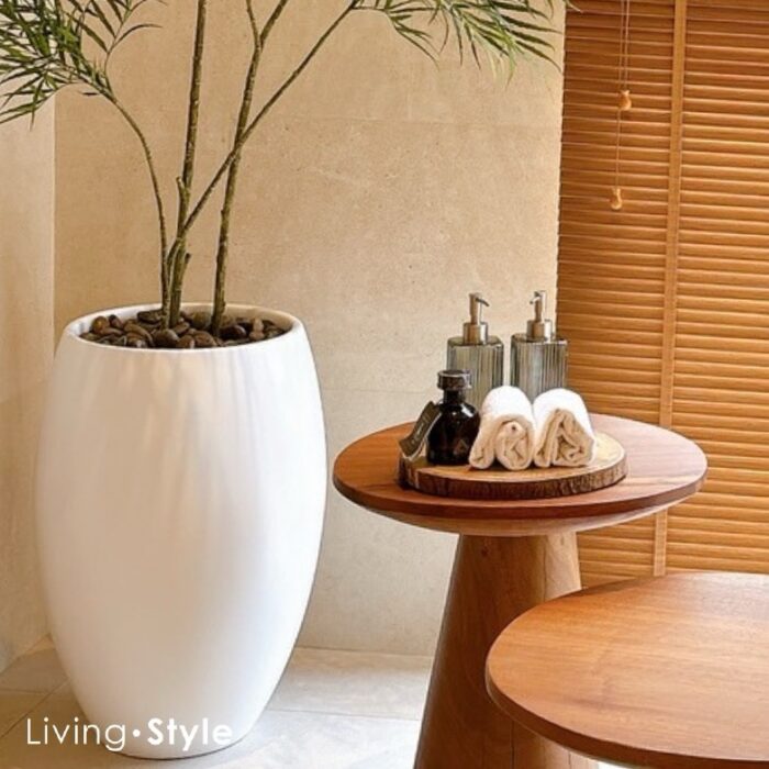 Areca Palm with White Pot