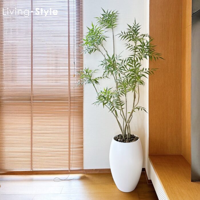 Butterfly Palm with White Pot