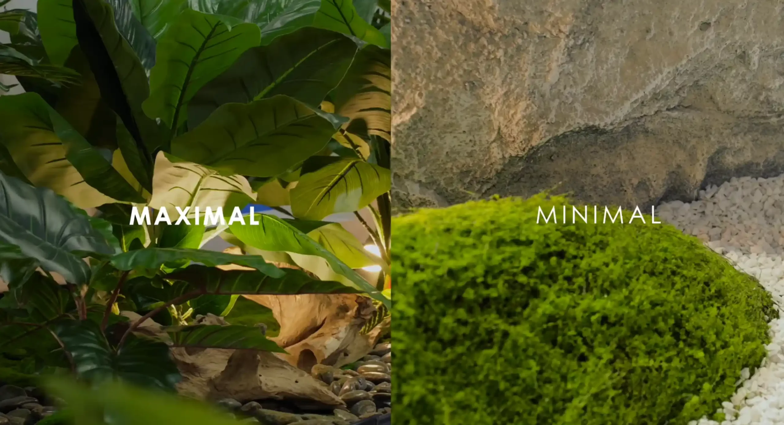 เปรียบเทียบสวนต้นไม้ประดิษฐ์ Maximal vs minimal